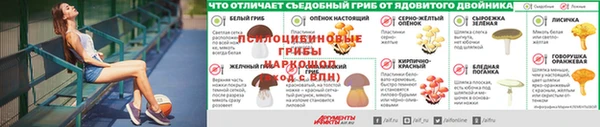 а пвп мука Зеленодольск