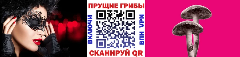 Псилоцибиновые грибы Magic Shrooms  Купить закладки  Ковров 