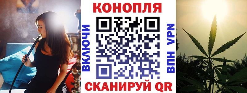 Купить закладки  Ковров  Конопля сатива 
